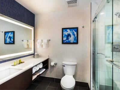 bathroom 1 - hotel doubletree by hilton pomona - pomona, united states of america