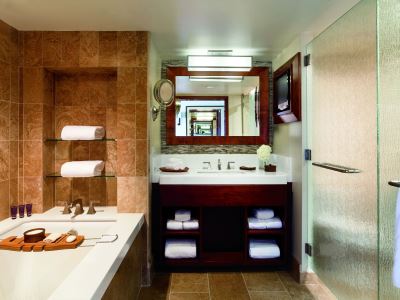 bathroom - hotel the ritz-carlton rancho mirage - rancho mirage, united states of america