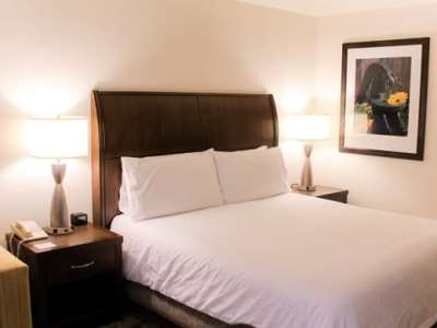 bedroom - hotel hilton garden inn redding - redding, united states of america