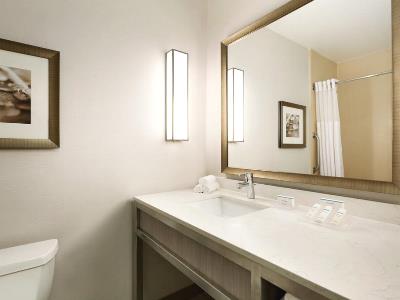 bathroom - hotel hilton garden inn roseville - roseville, california, united states of america
