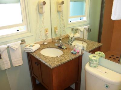 bathroom - hotel days inn by wyndham convention center - san jose, united states of america