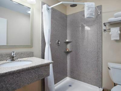 bathroom - hotel days inn santa maria ca - santa maria, united states of america