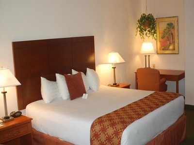bedroom - hotel best western plus university inn - boca raton, united states of america