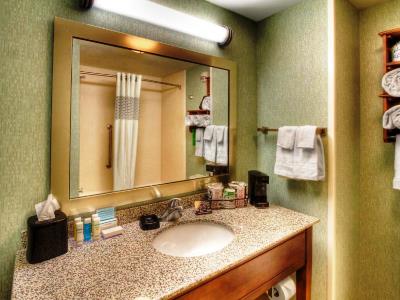 bathroom 1 - hotel hampton inn destin - destin, united states of america
