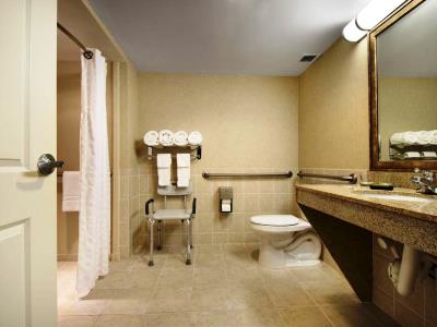 bathroom 1 - hotel embassy suites fort myers estero - estero, united states of america