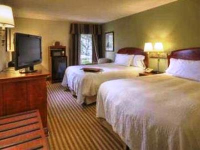 bedroom - hotel hampton inn amelia island fernandina bch - fernandina beach, united states of america