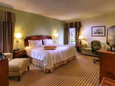 bedroom 1 - hotel hampton inn amelia island fernandina bch - fernandina beach, united states of america