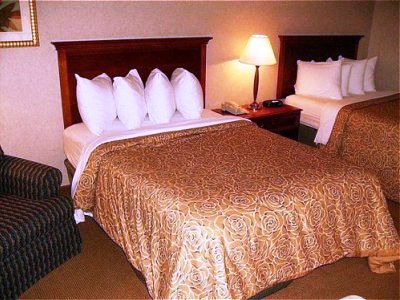 bedroom 1 - hotel ramada jacksonville i-95 by butler blvd - jacksonville, florida, united states of america