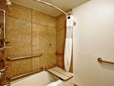 bathroom 1 - hotel hampton inn sarasota i-75 bee ridge - sarasota, united states of america