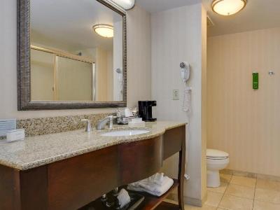 bathroom - hotel hampton inn atlanta fairburn - fairburn, united states of america