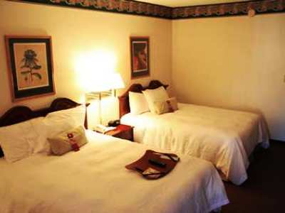 bedroom - hotel hampton inn helen - helen, united states of america
