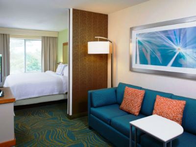 bedroom 2 - hotel springhill suites atlanta six flags - lithia springs, united states of america