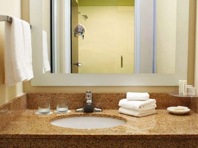bathroom - hotel springhill suites atlanta six flags - lithia springs, united states of america