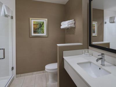 bathroom - hotel fairfield inn ste atlanta peachtree city - peachtree city, united states of america