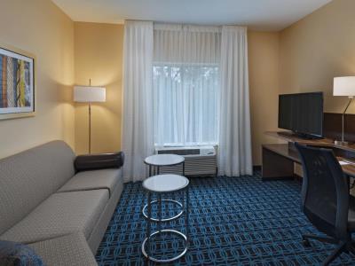 suite 1 - hotel fairfield inn ste atlanta peachtree city - peachtree city, united states of america