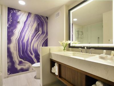 bathroom 1 - hotel hilton garden inn kauai - kapaa, united states of america