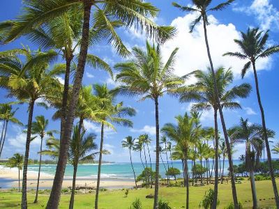 beach - hotel hilton garden inn kauai - kapaa, united states of america