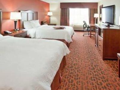 bedroom 1 - hotel hampton inn idaho falls / airport - idaho falls, united states of america