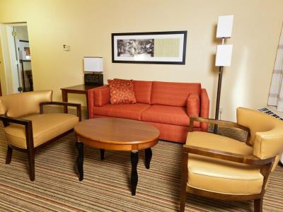suite 1 - hotel courtyard chicago o'hare - des plaines, united states of america