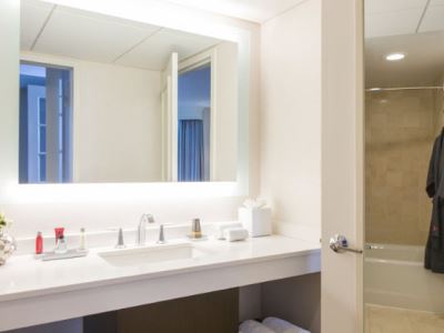 bathroom - hotel hampton inn suites downers grove chicago - downers grove, united states of america