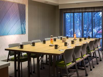 conference room - hotel springhill suites chicago lincolnshire - lincolnshire, united states of america