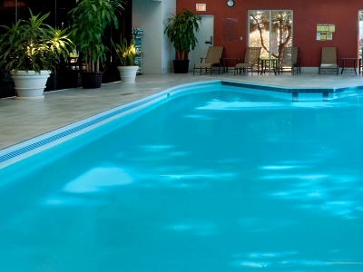 indoor pool - hotel hilton chicago/oak lawn - oak lawn, united states of america