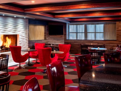 bar - hotel four points sheraton chicago o'hare apt - schiller park, united states of america