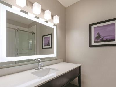 bathroom - hotel la quinta inn and suites elkhart - elkhart, united states of america