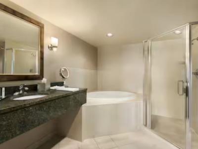 bathroom - hotel doubletree by hilton wichita airport - wichita, united states of america