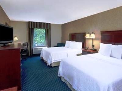bedroom - hotel hampton inn maysville - maysville, united states of america