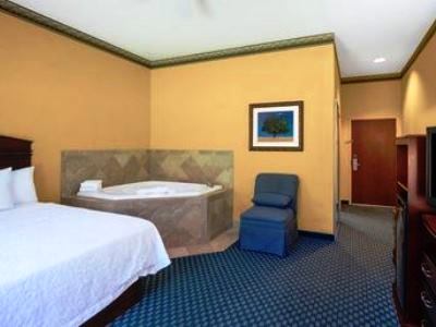 bedroom 3 - hotel hampton inn maysville - maysville, united states of america