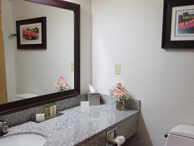 bathroom - hotel doubletree by hilton leominster - leominster, united states of america