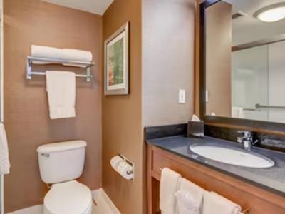 bathroom - hotel fairfield inn boston woburn / burlington - woburn, united states of america