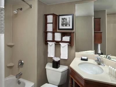 bathroom - hotel hampton inn ann arbor south - ann arbor, united states of america