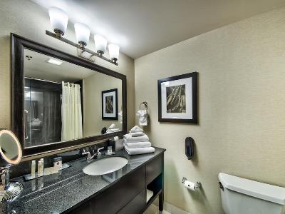 bathroom - hotel doubletree by hilton port huron - port huron, united states of america