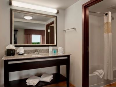 bathroom - hotel hampton inn and suites detroit airport - romulus, united states of america