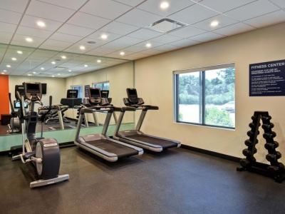 gym - hotel tru by hilton sterling heights detroit - sterling heights, united states of america