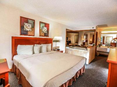 bedroom - hotel super 8 branson / shepherd of hills exwy - branson, united states of america