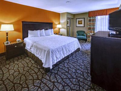 bedroom - hotel hampton inn asheville tunnel road - asheville, united states of america