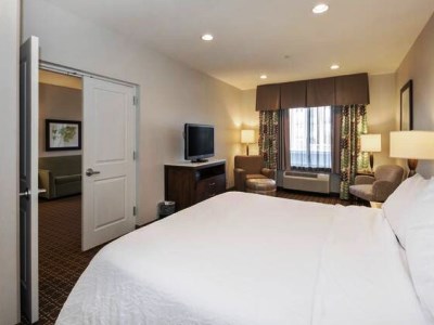 suite - hotel hilton garden inn raleigh-cary - cary, united states of america