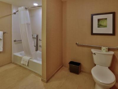 bathroom - hotel hilton garden inn gallup - gallup, united states of america