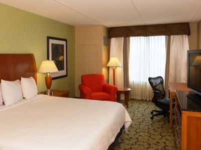 bedroom - hotel hilton garden inn buffalo airport - cheektowaga, united states of america