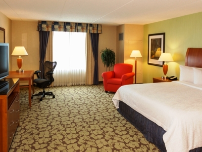 bedroom 3 - hotel hilton garden inn buffalo airport - cheektowaga, united states of america