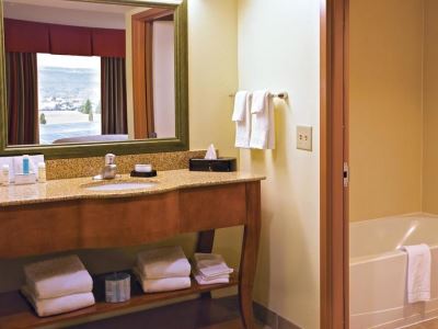bathroom - hotel hampton inn and suites lamar - mill hall, united states of america