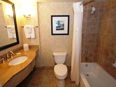 bathroom - hotel hilton garden inn charleston airport - north charleston, united states of america