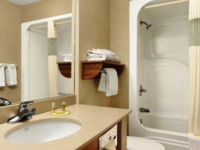 bathroom - hotel days inn by wyndham rapid city - rapid city, united states of america