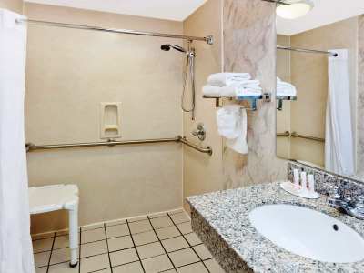 bathroom 2 - hotel days inn wyndham chattanooga-rivergate - chattanooga, united states of america
