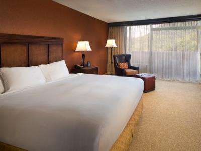 suite - hotel park vista - a doubletree gatlinburg - gatlinburg, united states of america