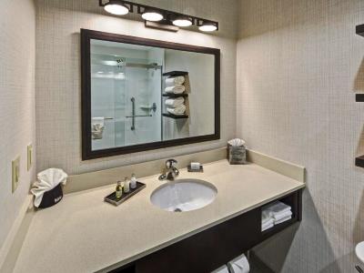 bathroom - hotel black fox lodge, tapestry collection - pigeon forge, united states of america