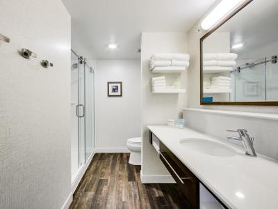 bathroom - hotel hampton inn n suites fort worth downtown - fort worth, united states of america